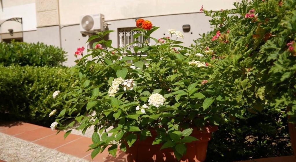 House With Garden And Parking Space In Mergellina Nápoly Kültér fotó